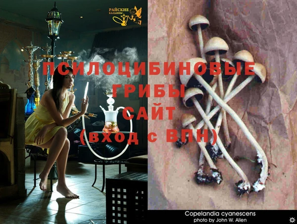 MDMA Кулебаки