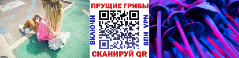 магазин продажи   Нижний Новгород  MEGA зеркало  Псилоцибиновые грибы GOLDEN TEACHER 